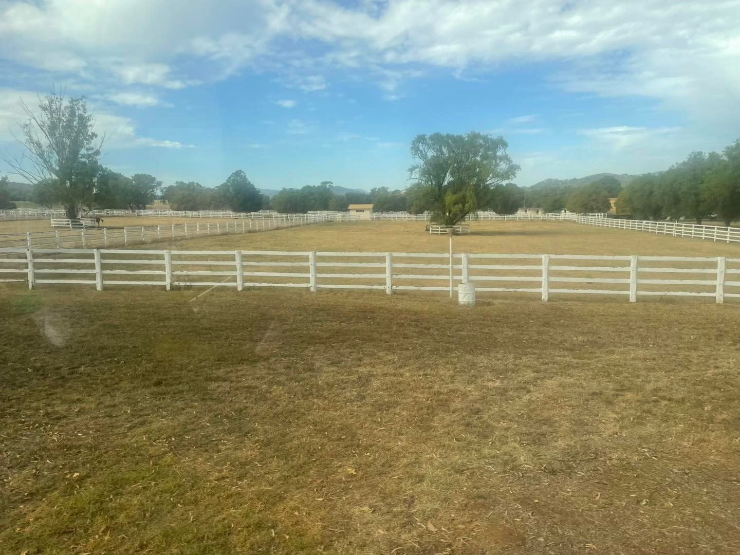 Dubbo Zoo 2025 Image -67de04aa28ef8